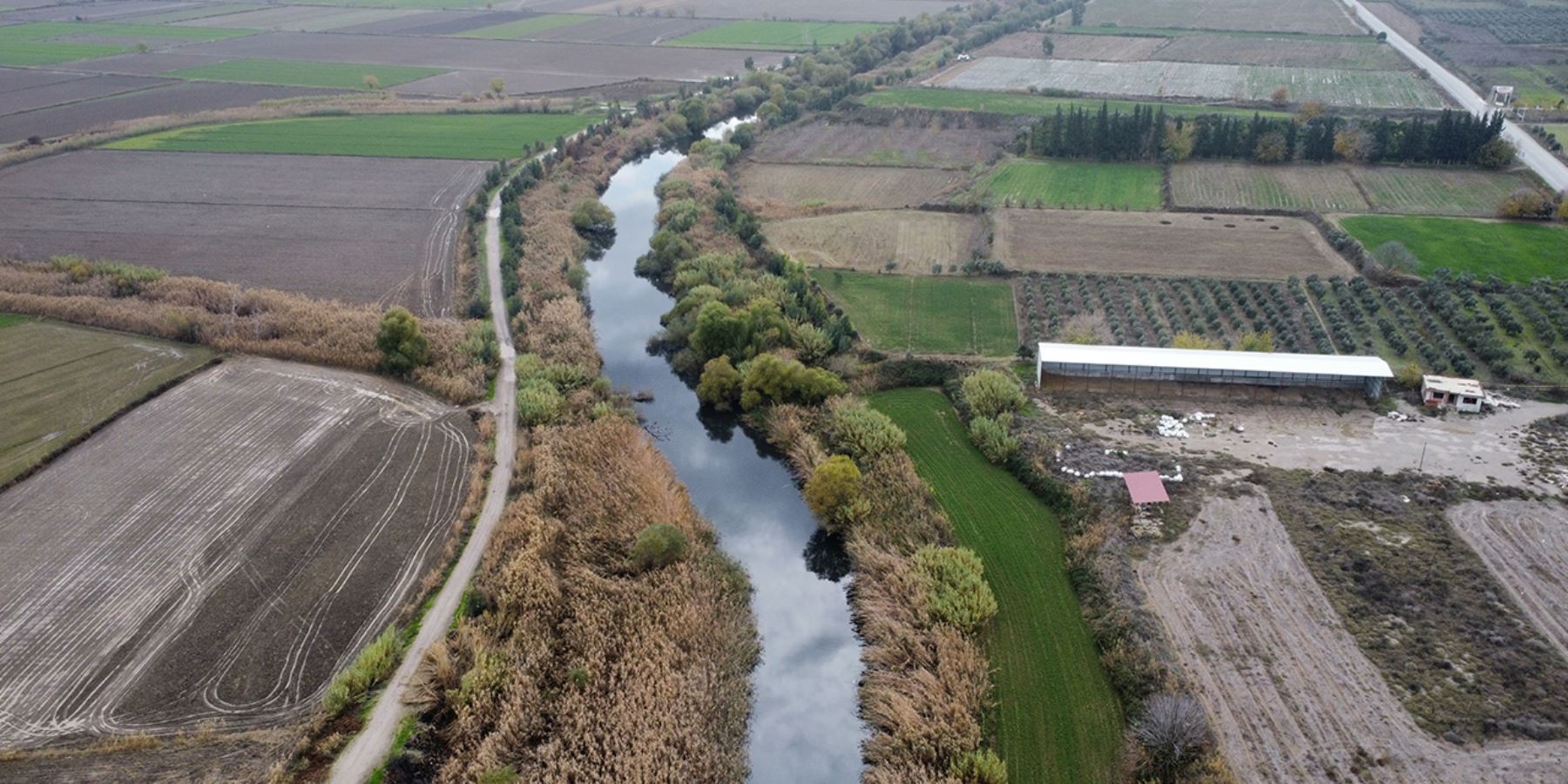 Aydın Akçay Nehri'nde balık ölümleri korkuttu