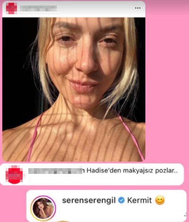 Seren Serengil'den Hadise'nin makyajsız pozlarına olay yorum: Kermit