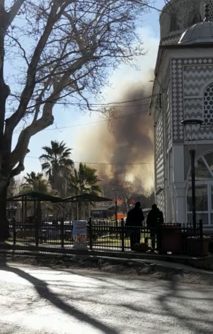 İznik’te sazlık alanda korkutan yangın