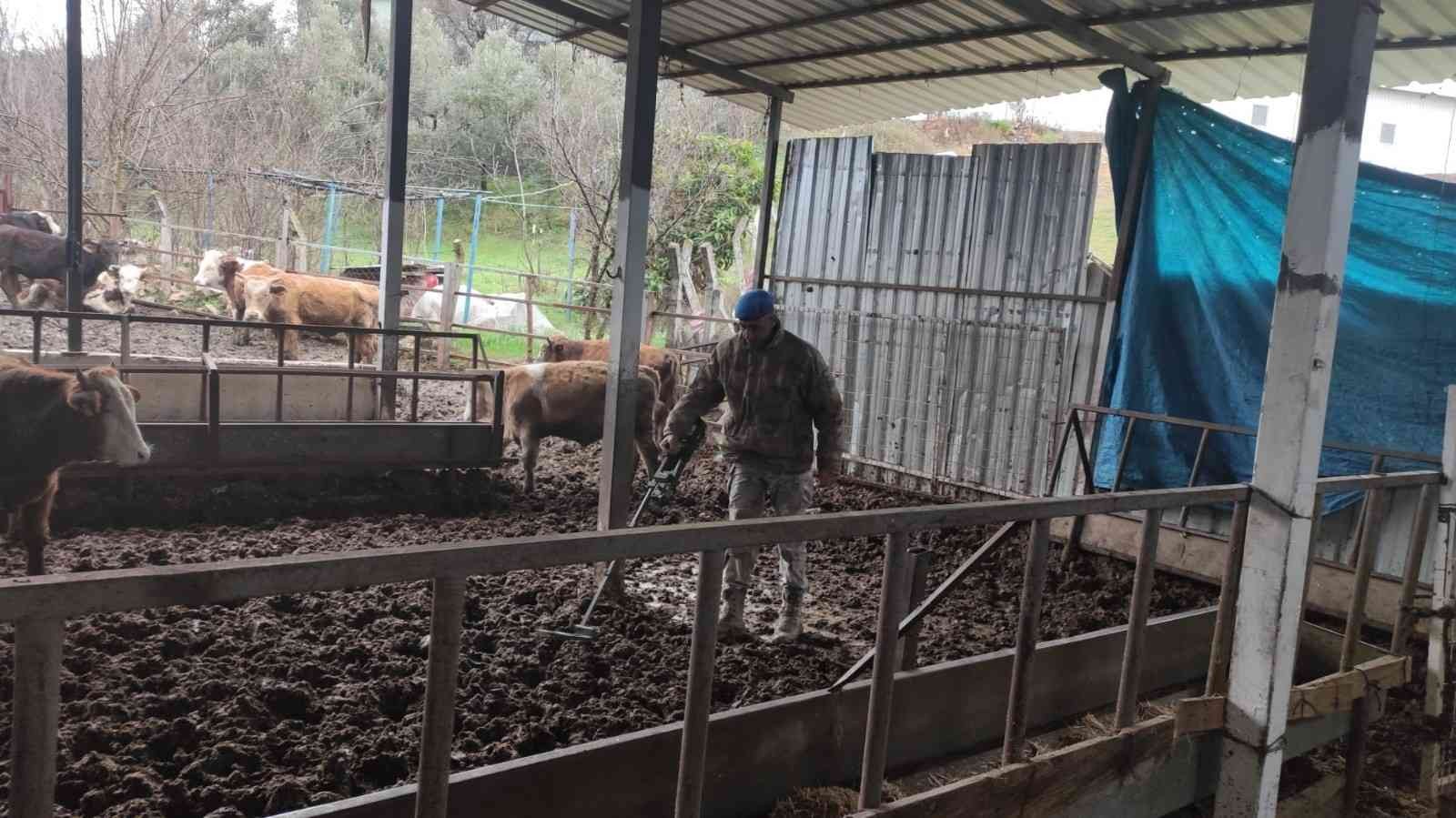 Jandarma dedektörle cinayetin işlendiği suç aletini arıyor