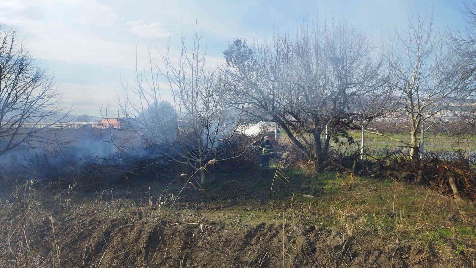 Bursa’da daha önce kesilmiş ağaçlar tutuştu