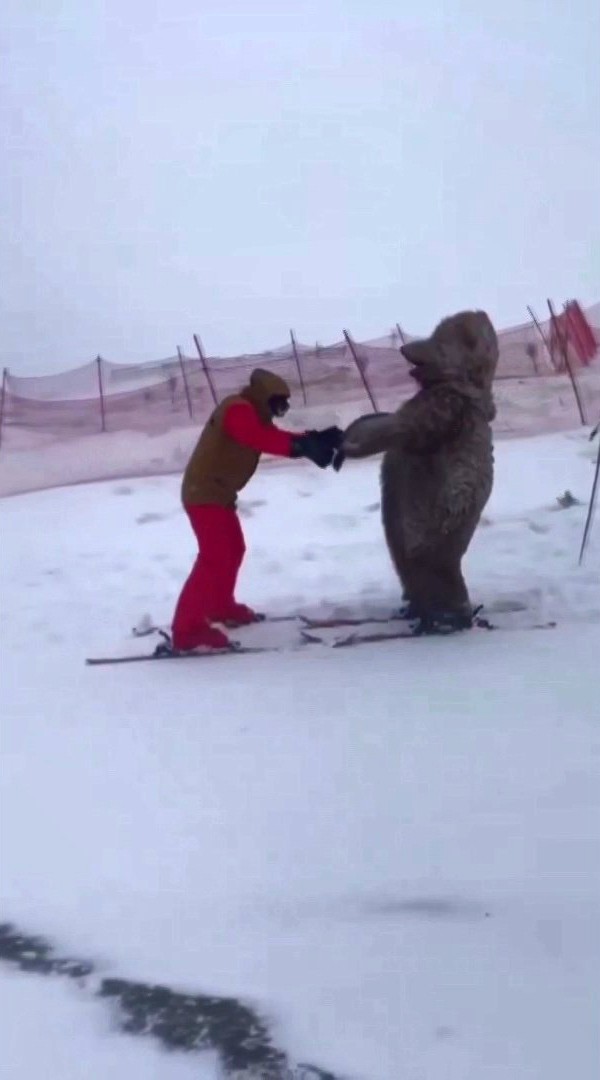 Ayı ve penguen ile Uludağ’da kayak yaptı, ortaya renkli görüntüler çıktı