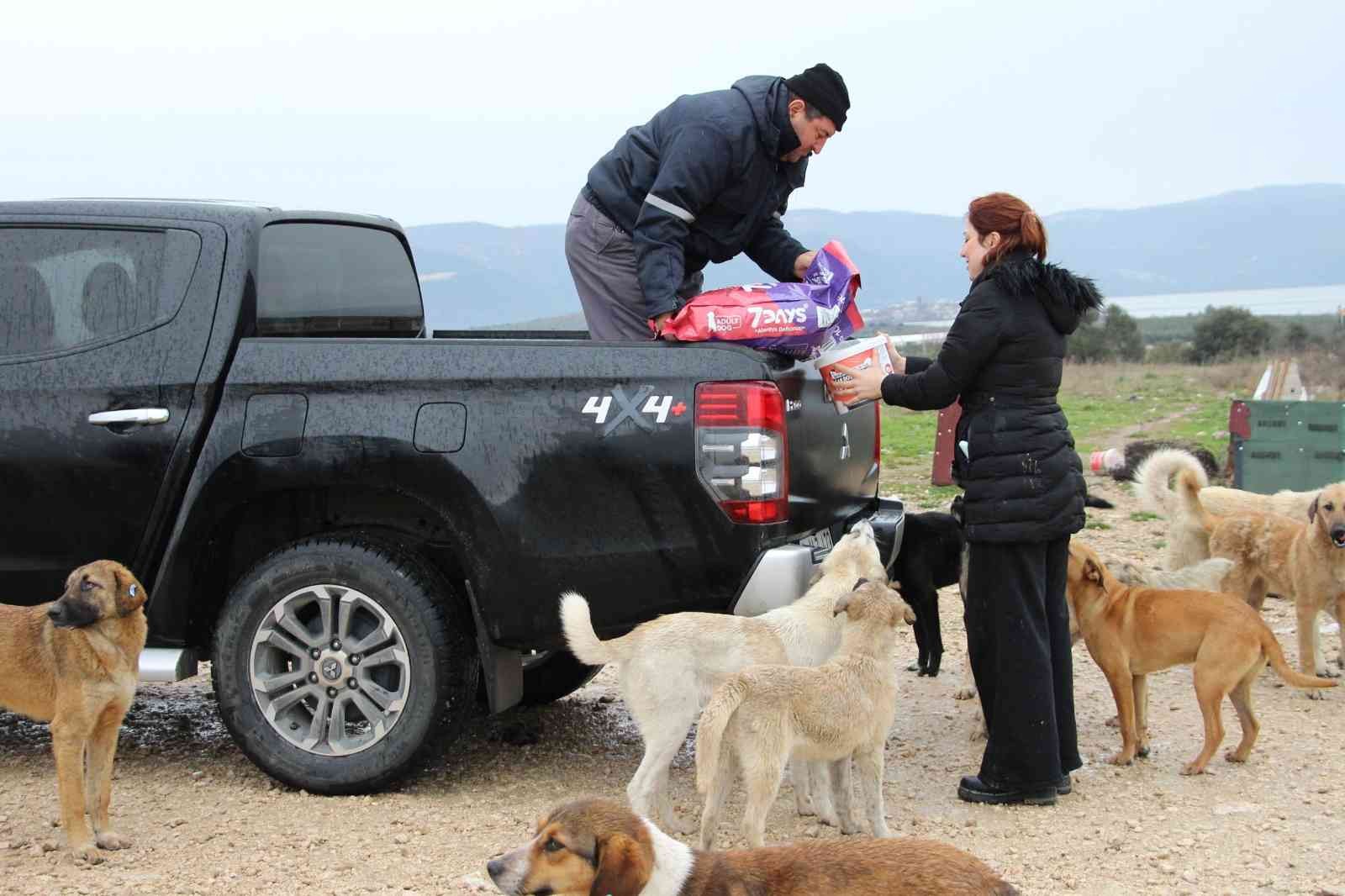 Kırsaldaki sokak hayvanları unutulmadı