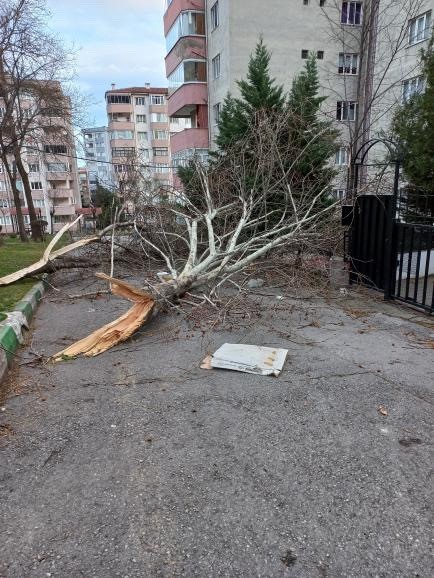 Bursa’da şiddetli lodosun etkisi sürüyor