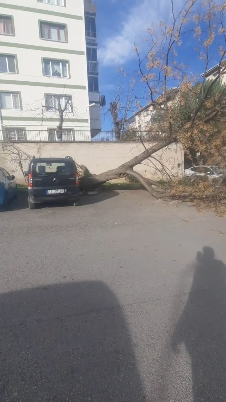 Bursa’da şiddetli lodosun etkisi sürüyor