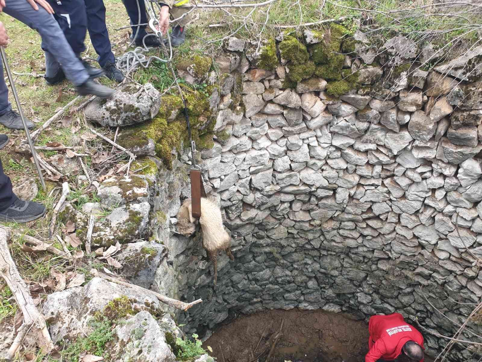 Kuyuda mahsur kalan köpek böyle kurtarıldı