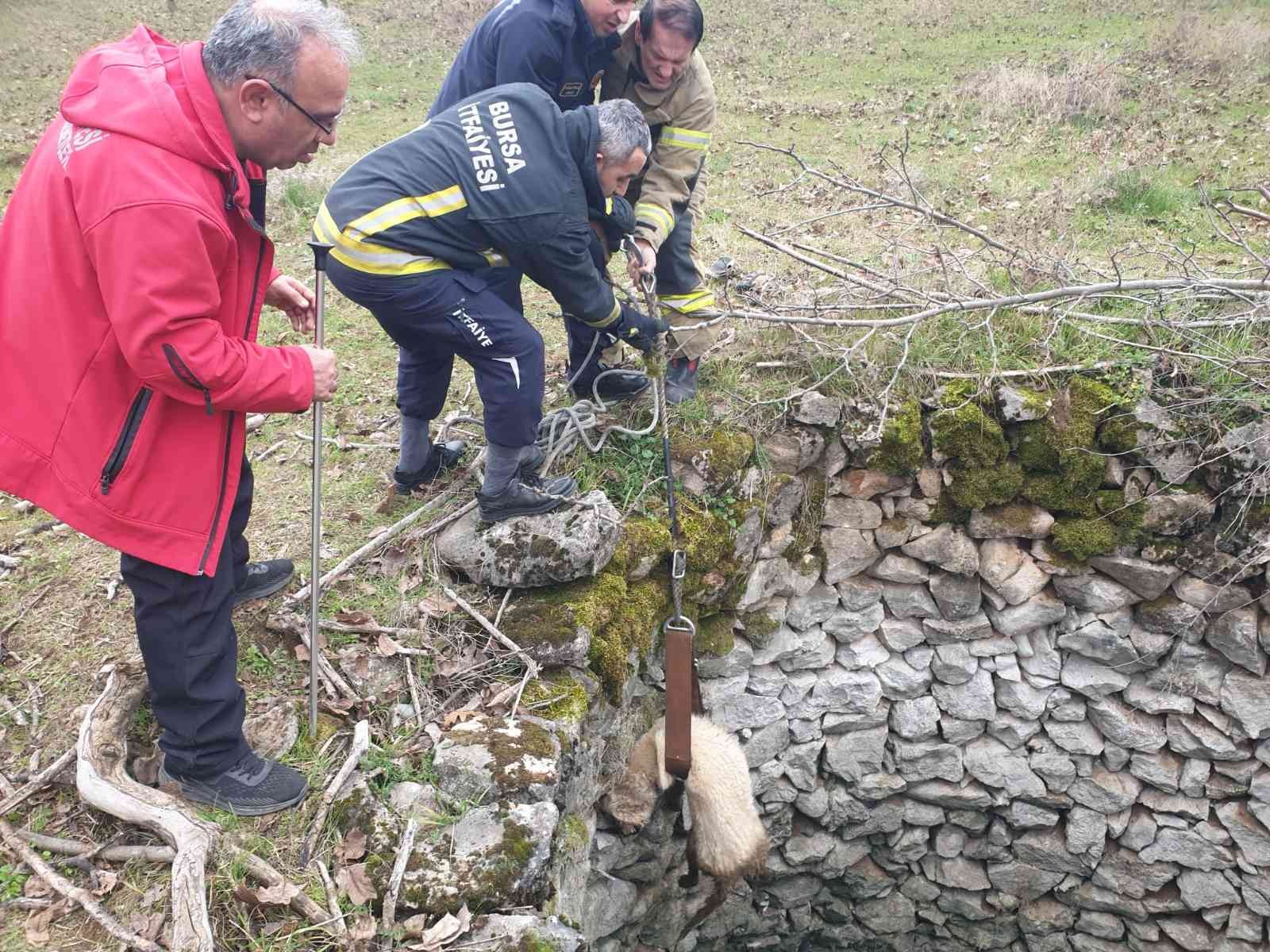 Kuyuda mahsur kalan köpek böyle kurtarıldı