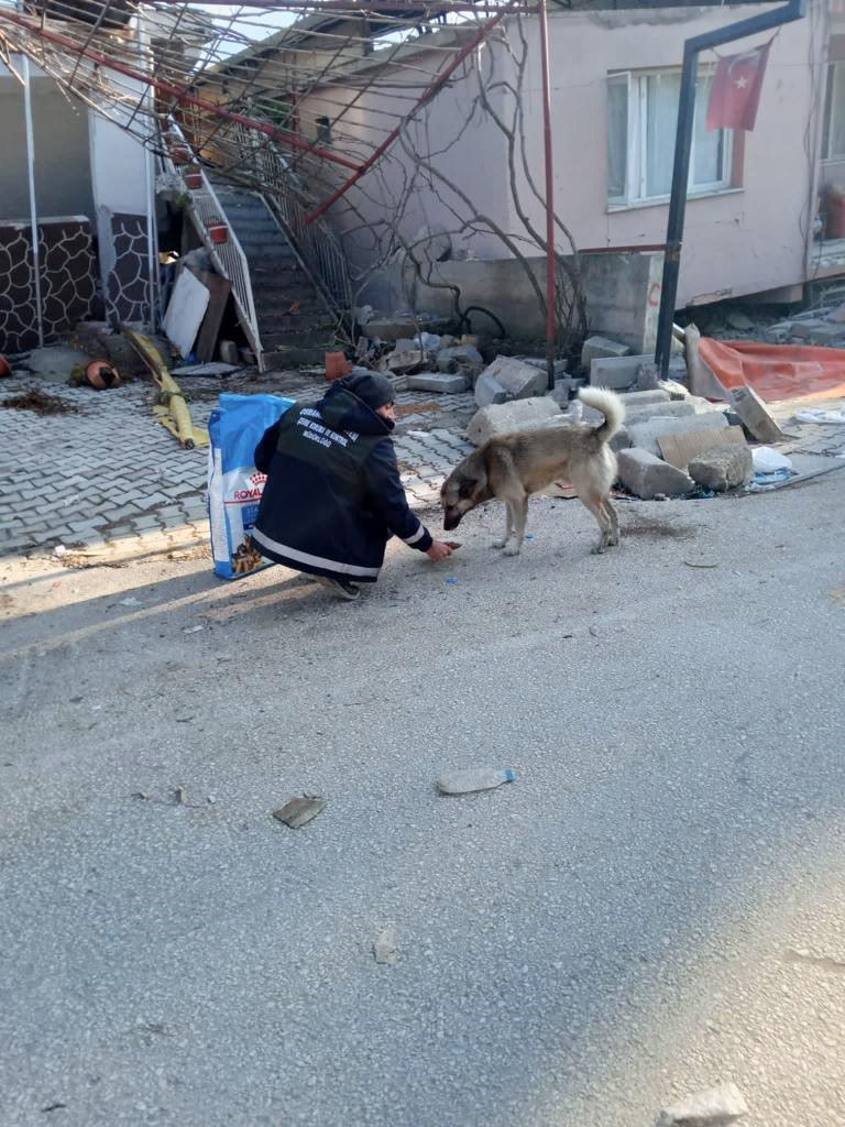 Afet bölgesindeki can dostlara Osmangazi şefkati