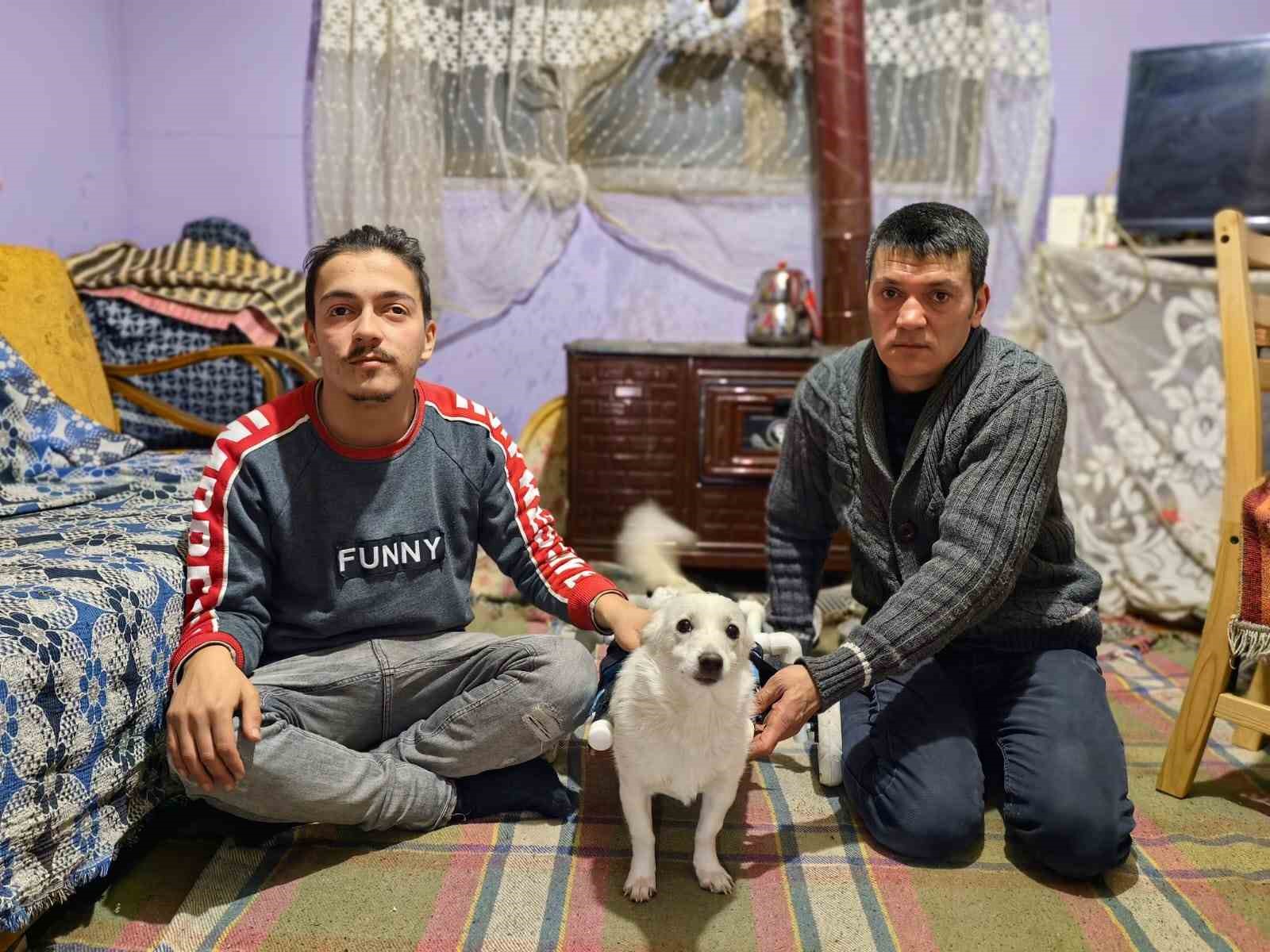 Yolda bulduğu engelli köpeği yaptığı düzenekle hayata bağladı