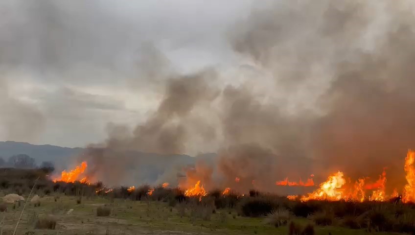 İznik Gölü’nde sazlık alanda korkutan yangın