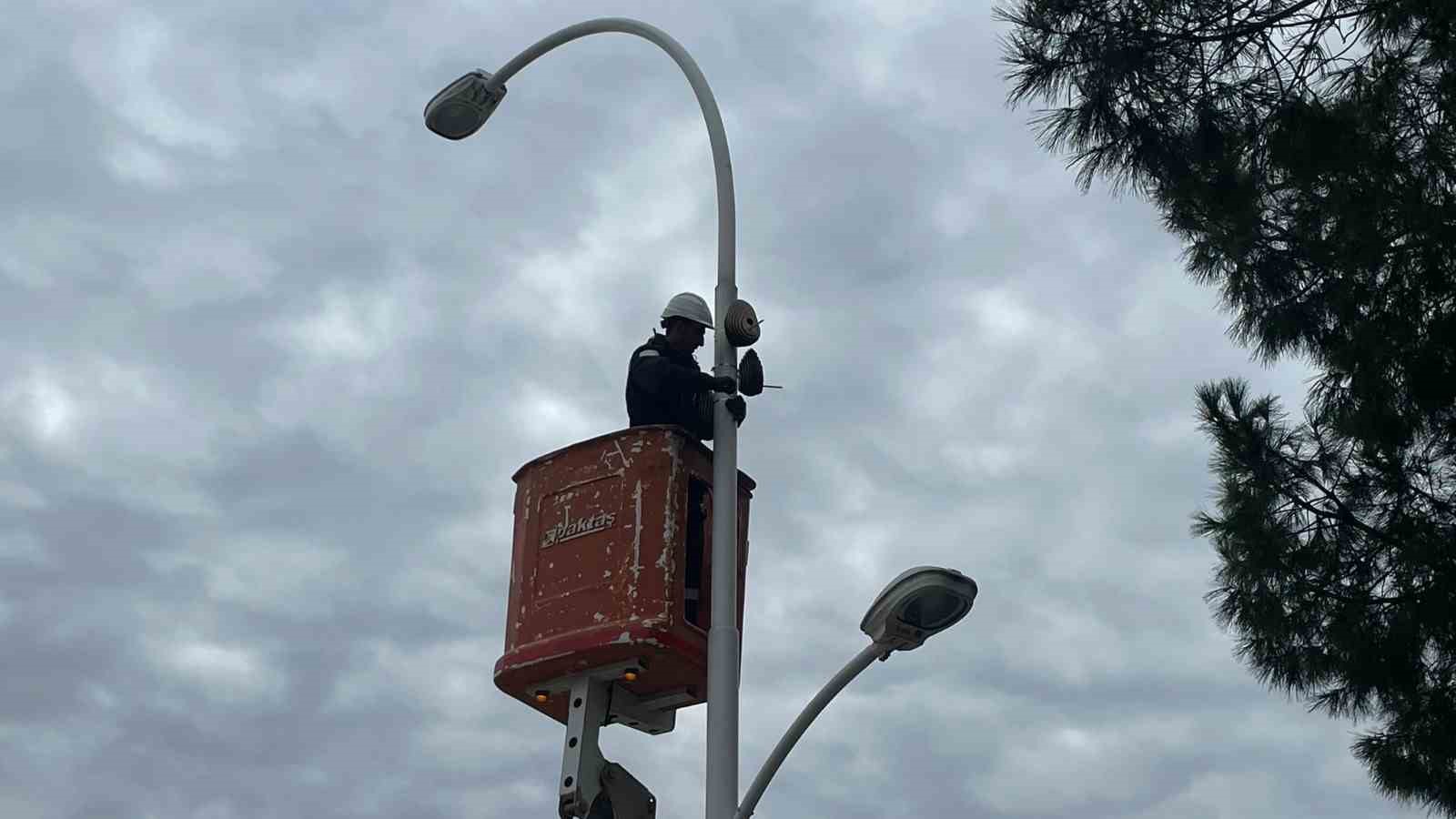 Sokak lambaları kuşların yeni yuvası oldu