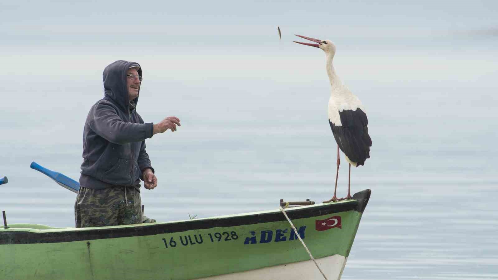 Yaren Leylek 12. kez Balıkçı Adem Amca’ya kavuştu