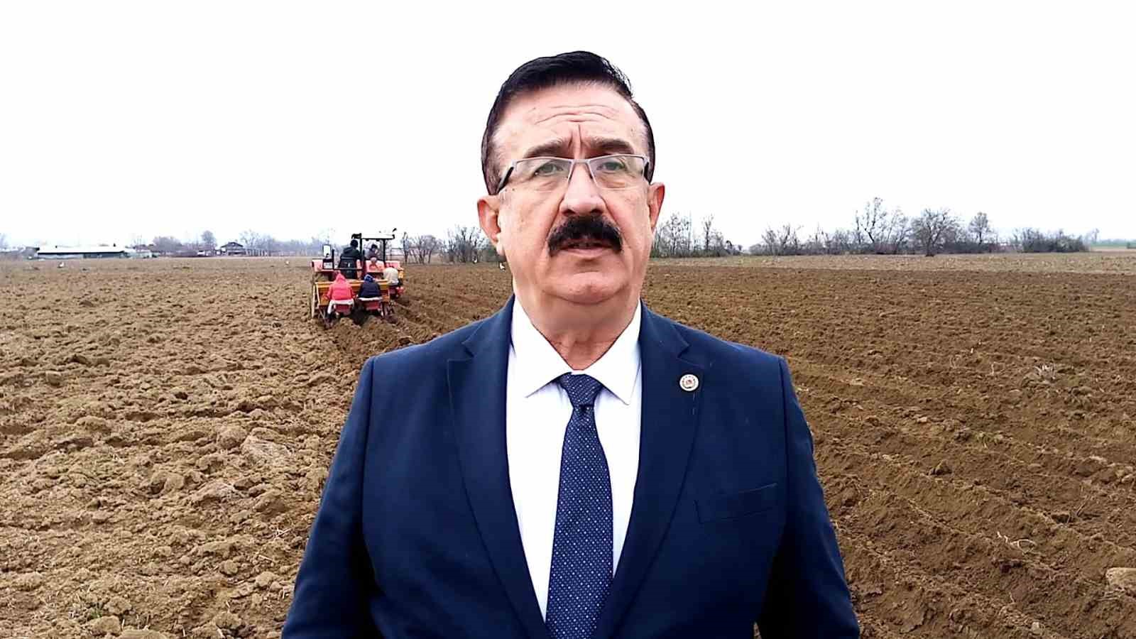 Bursa’da ‘sarı altın’ ekimi başladı