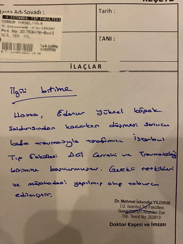 Yıldız Teknik Üniversitesi'nde başıboş köpek rezaleti: Genç kız kafa travması geçirdi!