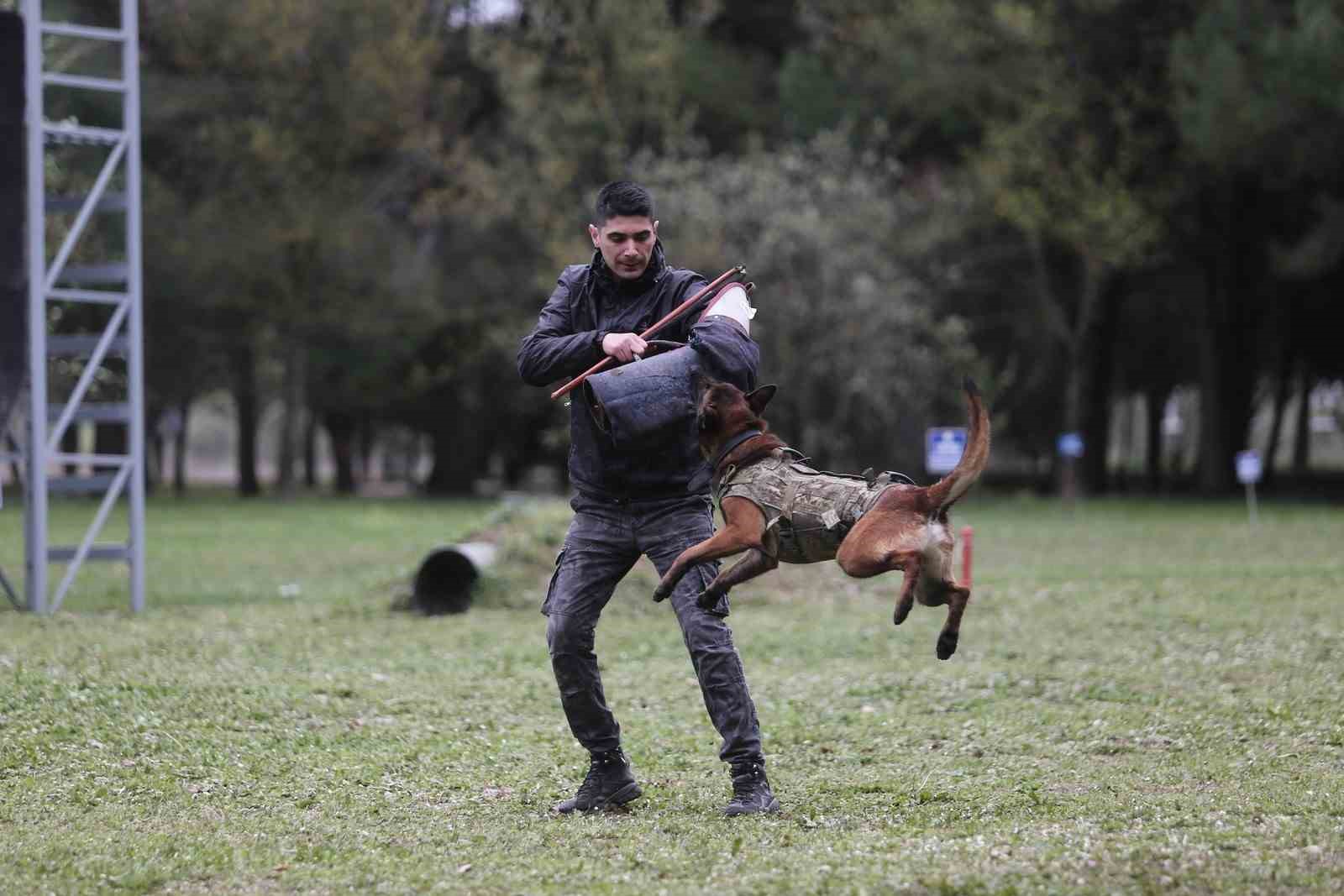 Askerlerin can yoldaşları nefes kesen eğitimlerden geçiyor