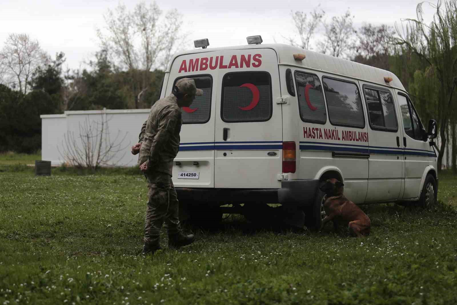 Bomba uzmanı köpeklerin nefes kesen eğitimi