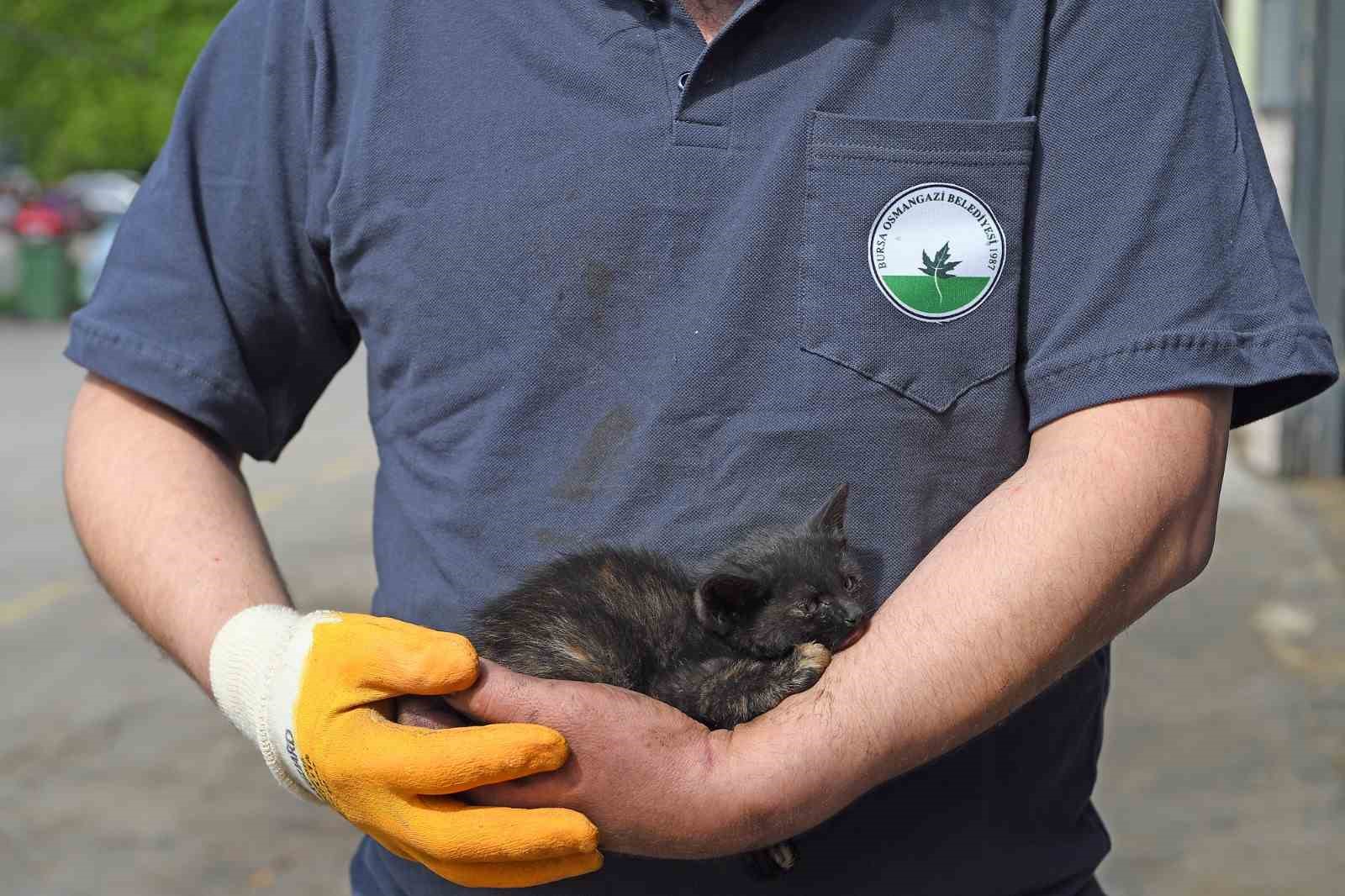 Motora sıkışan kedi için seferberlik