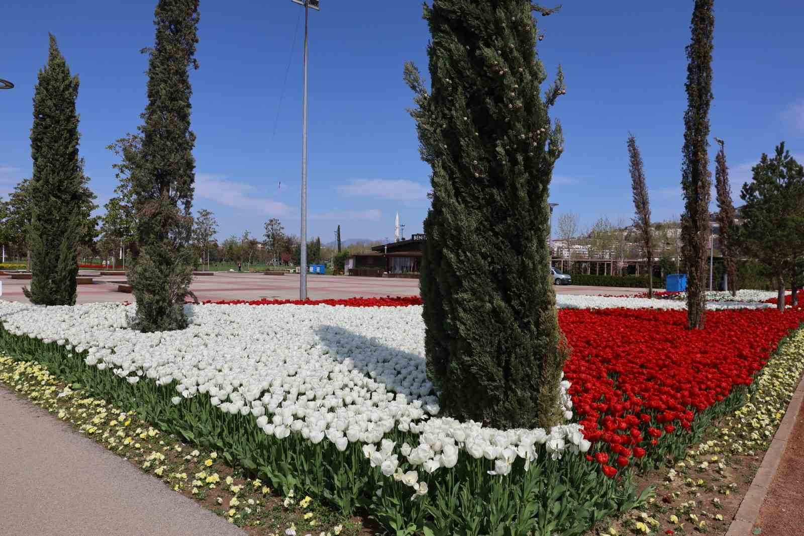 Baharın tüm renkleri Bursa’yı sardı