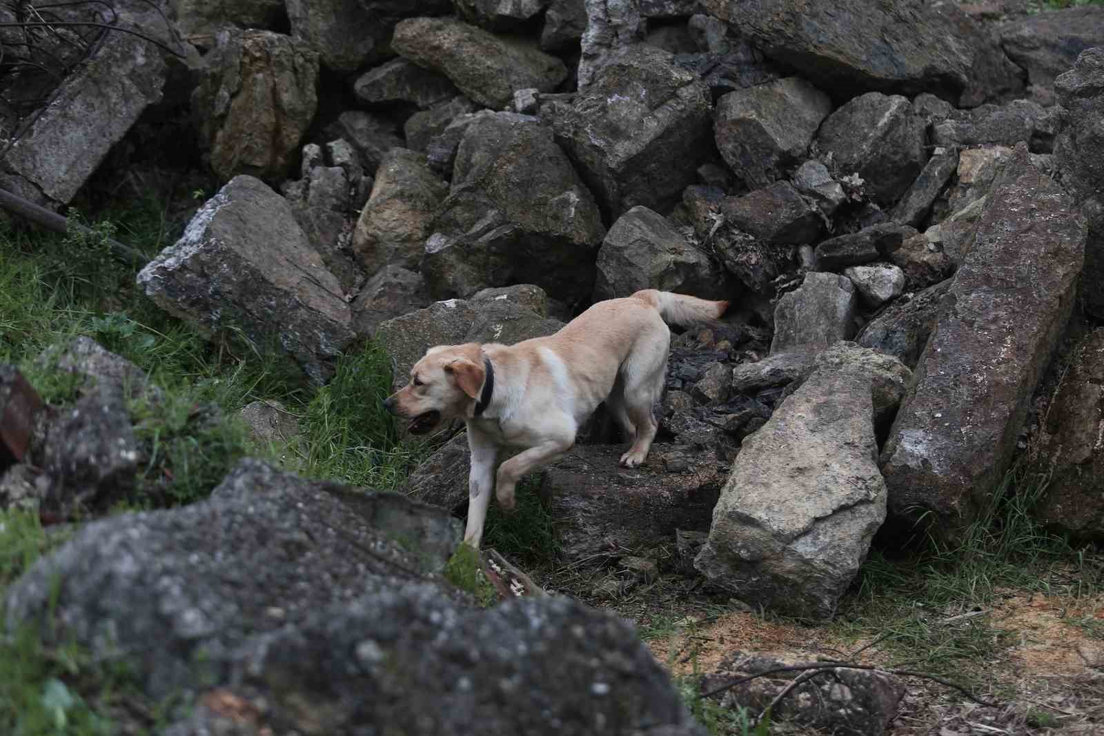 (Özel) Depremin kahramanları...Böyle yetiştiriliyorlar