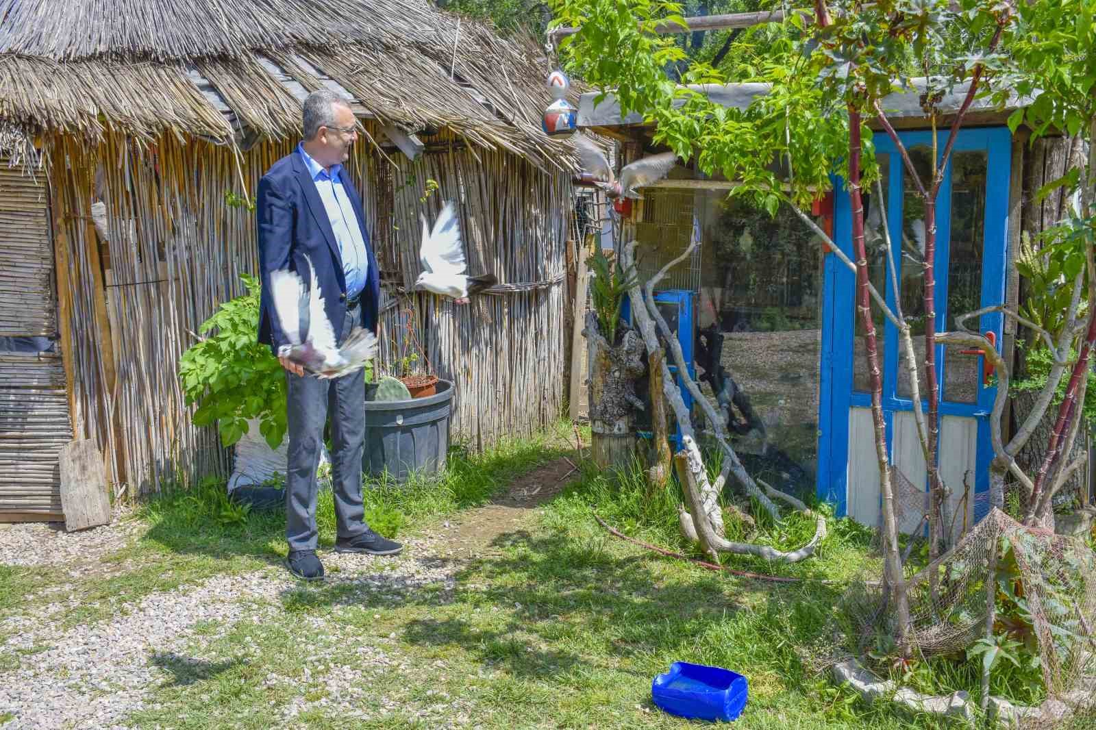 Karacabey Longozu’nda renklerin festivali başladı