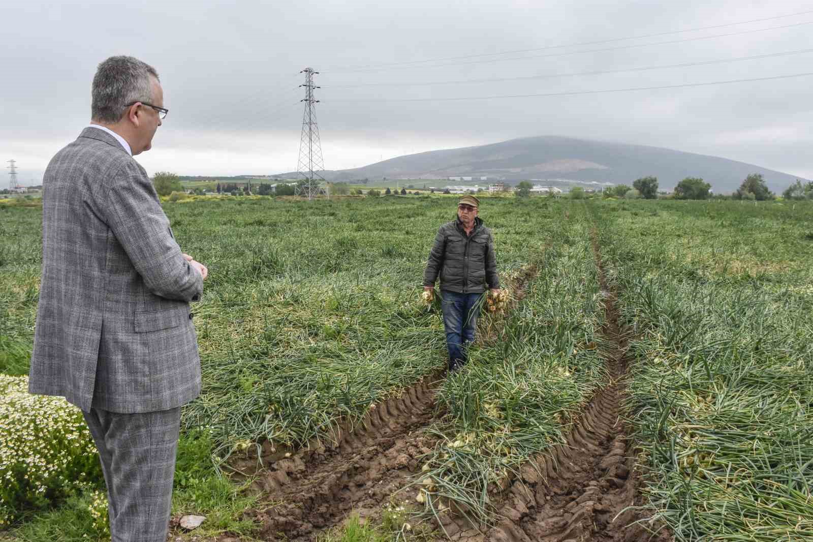 Hasat sonrası soğan fiyatı 7 liraya kadar düşecek