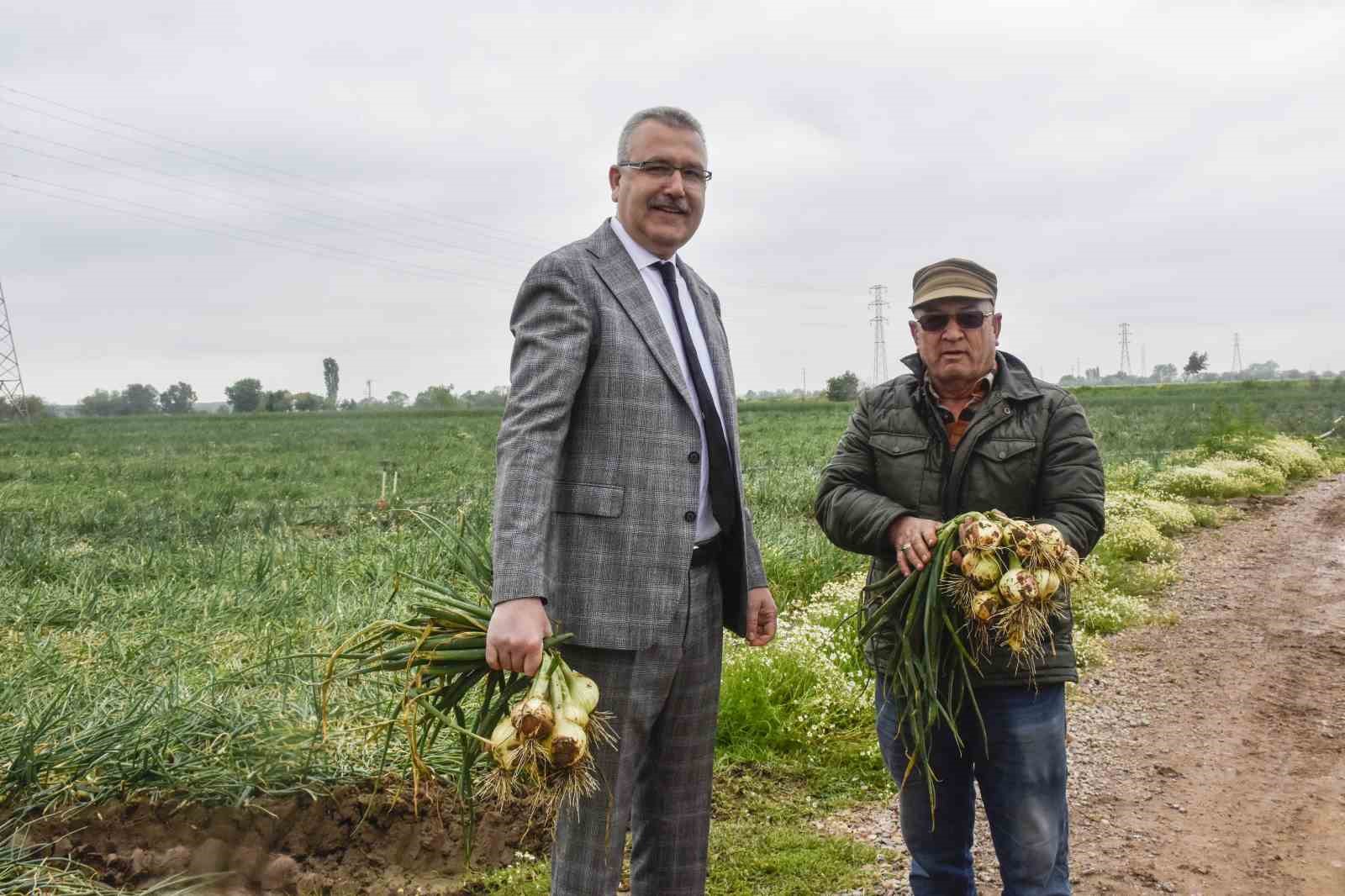 Hasat sonrası soğan fiyatı 7 liraya kadar düşecek