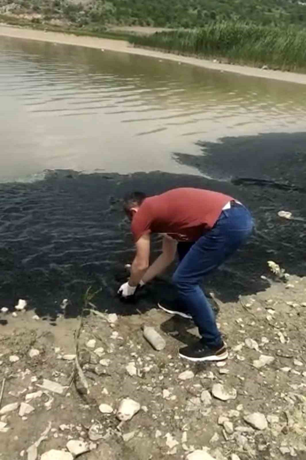 Barajdaki su yüzeyinin siyah renge bürünmesi vatandaşları tedirgin etti