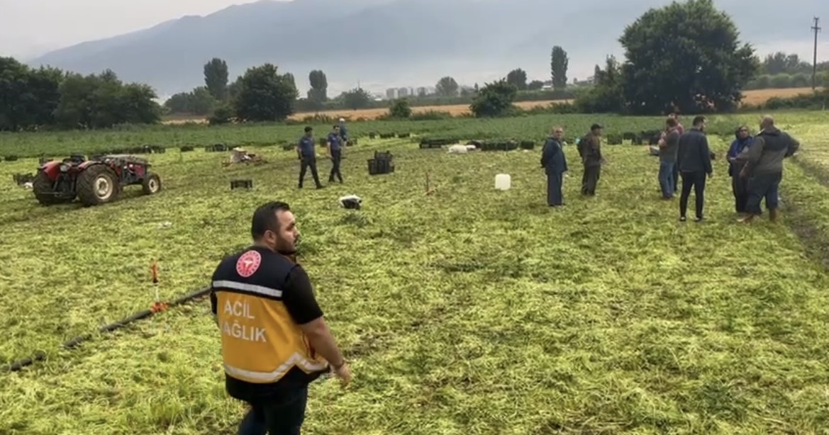 Maydonoz tarlasına yıldırım düştü...Ecel ekmek peşindeyken yakaladı