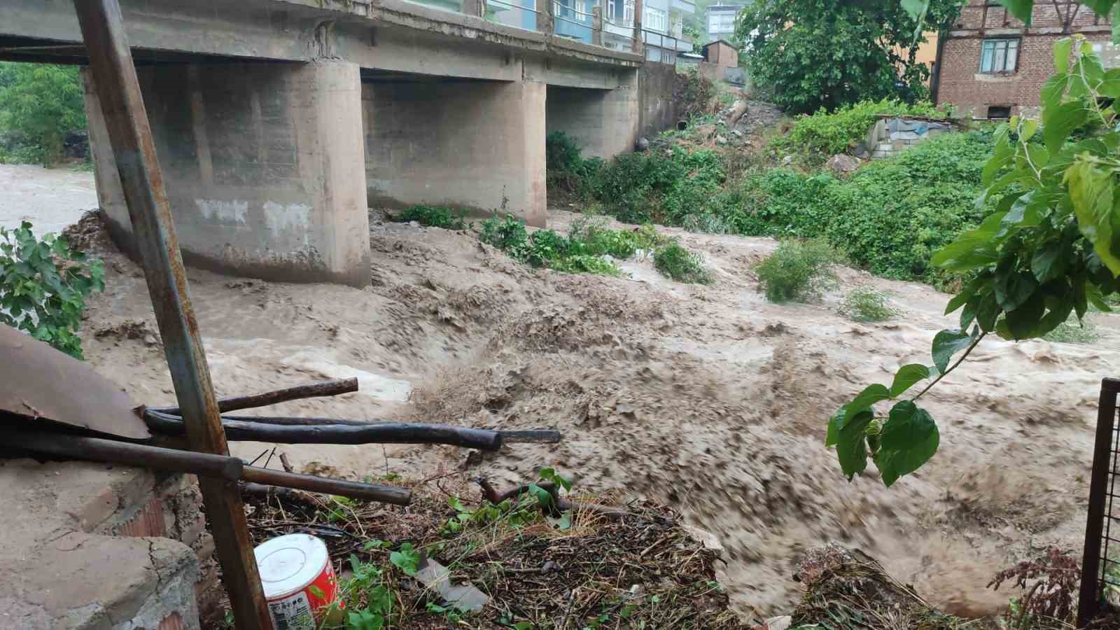 Orhangazi sele teslim oldu, yollar kapandı, evleri su batı