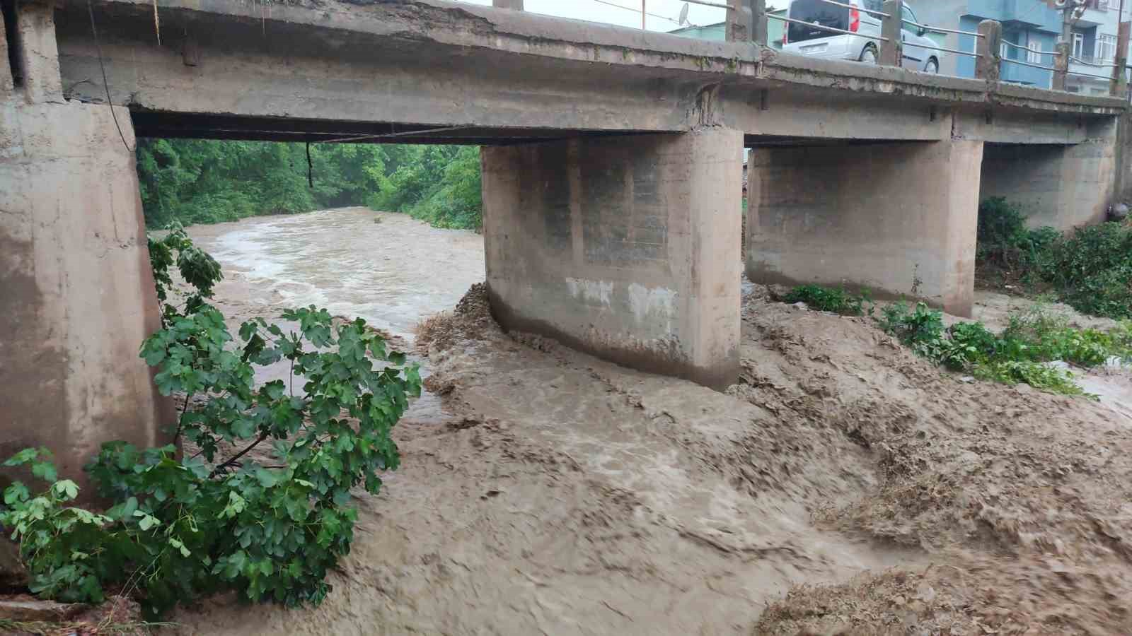 Orhangazi sele teslim oldu, yollar kapandı, evleri su batı