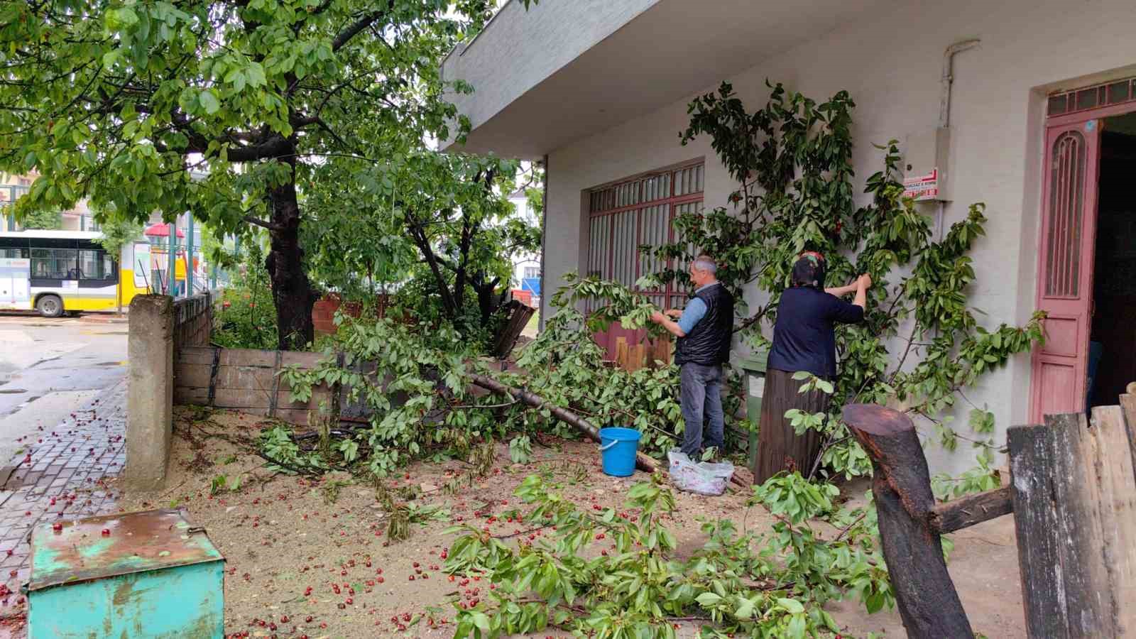 Ölümden saniyelerle kurtuldu, başına gelenlerden sonra kiraz topladı