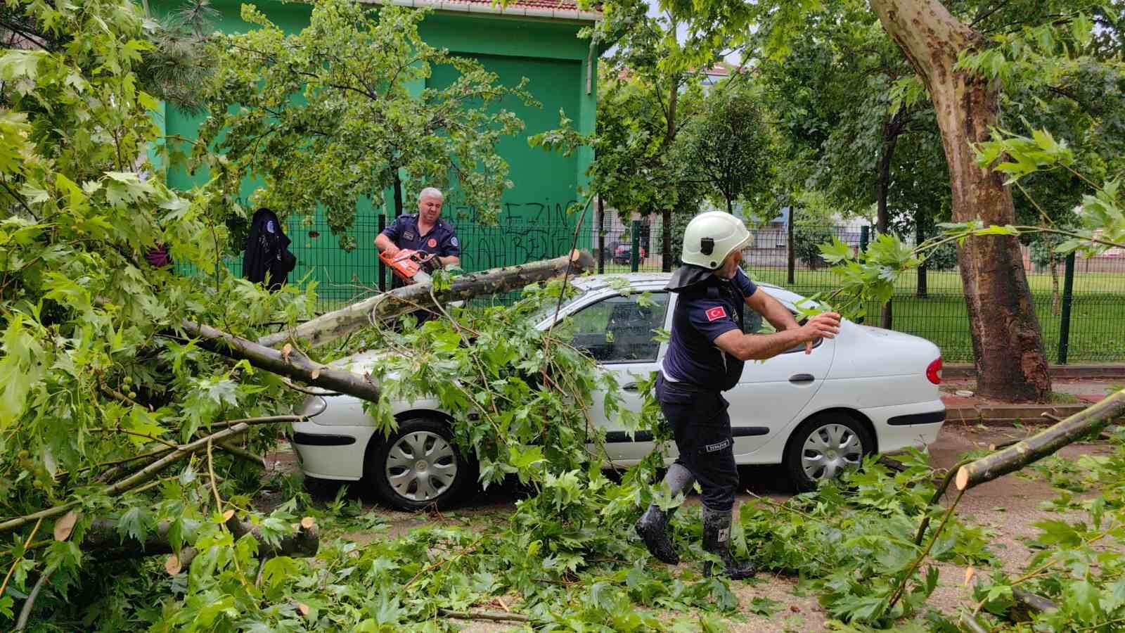 Ölümden saniyelerle kurtuldu, başına gelenlerden sonra kiraz topladı