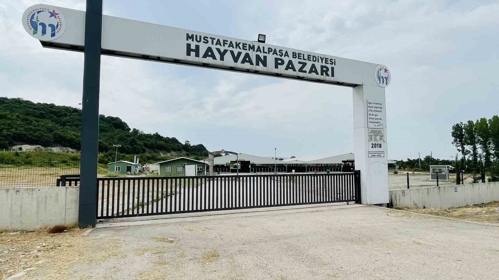 Bursa’daki hayvan pazarlarında şap karantinası