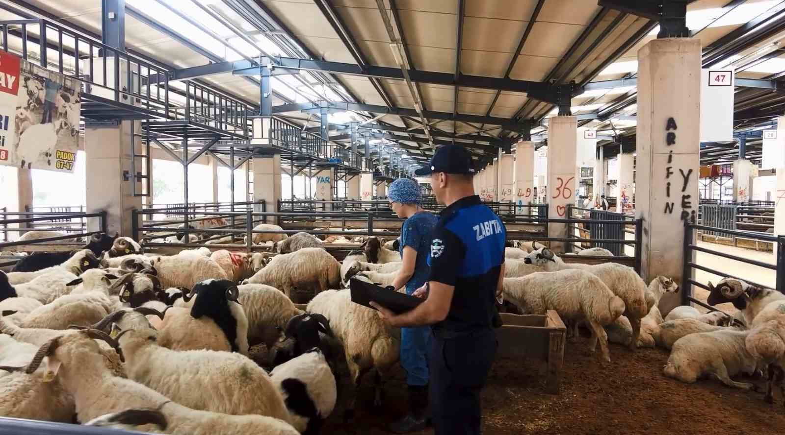 Osmangazi, Kurban Bayramı’na hazır