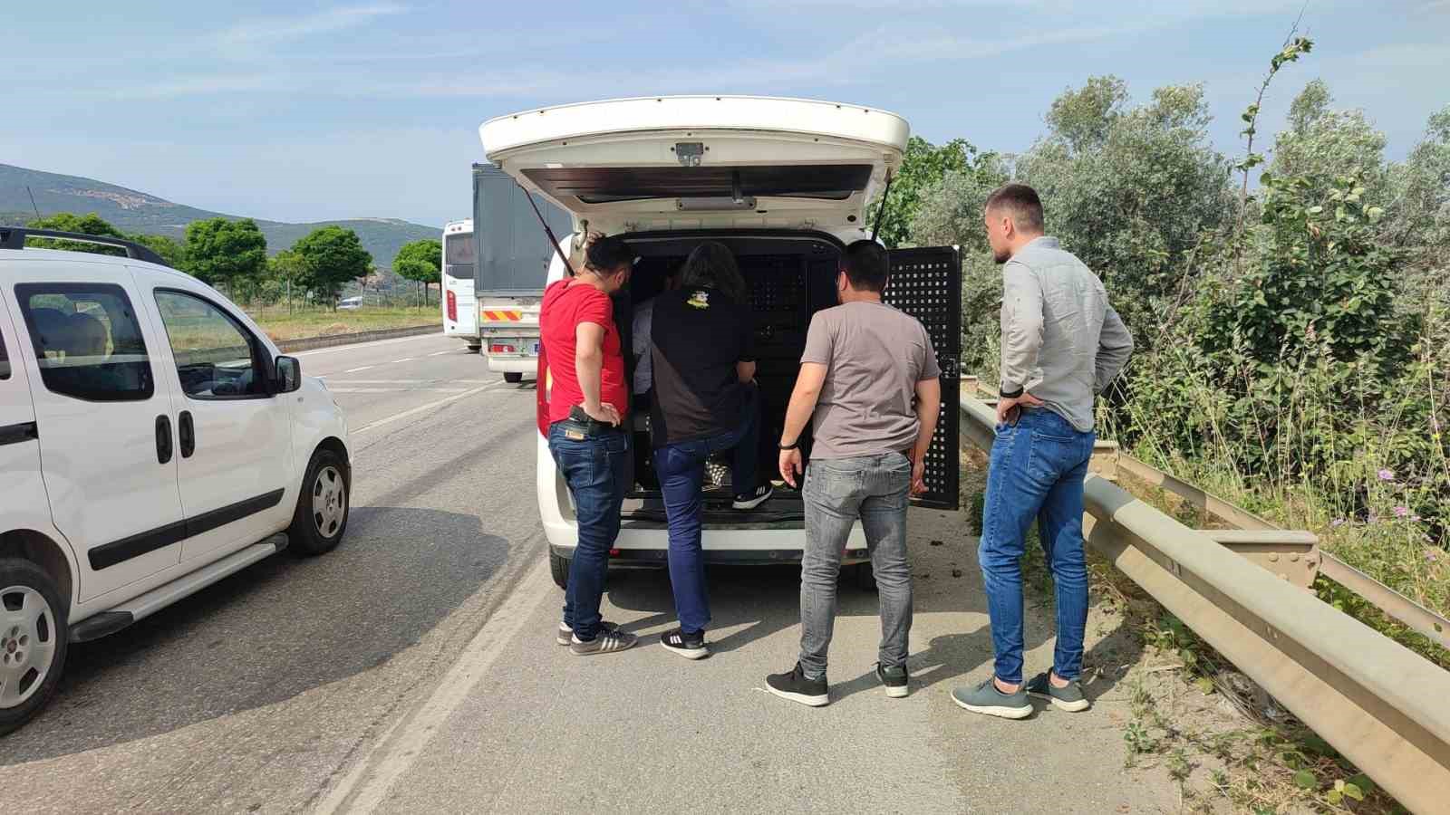 Serbest bölgeden sıfır kilometre minibüsü çalan zanlı yakalandı