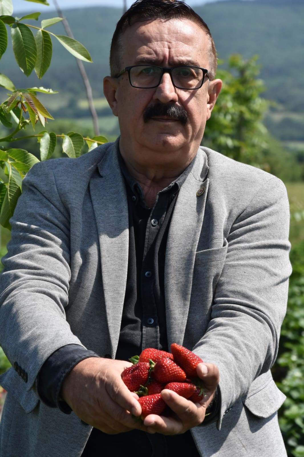 ’Kırmızı elmas’ın ilk hasadı yapıldı