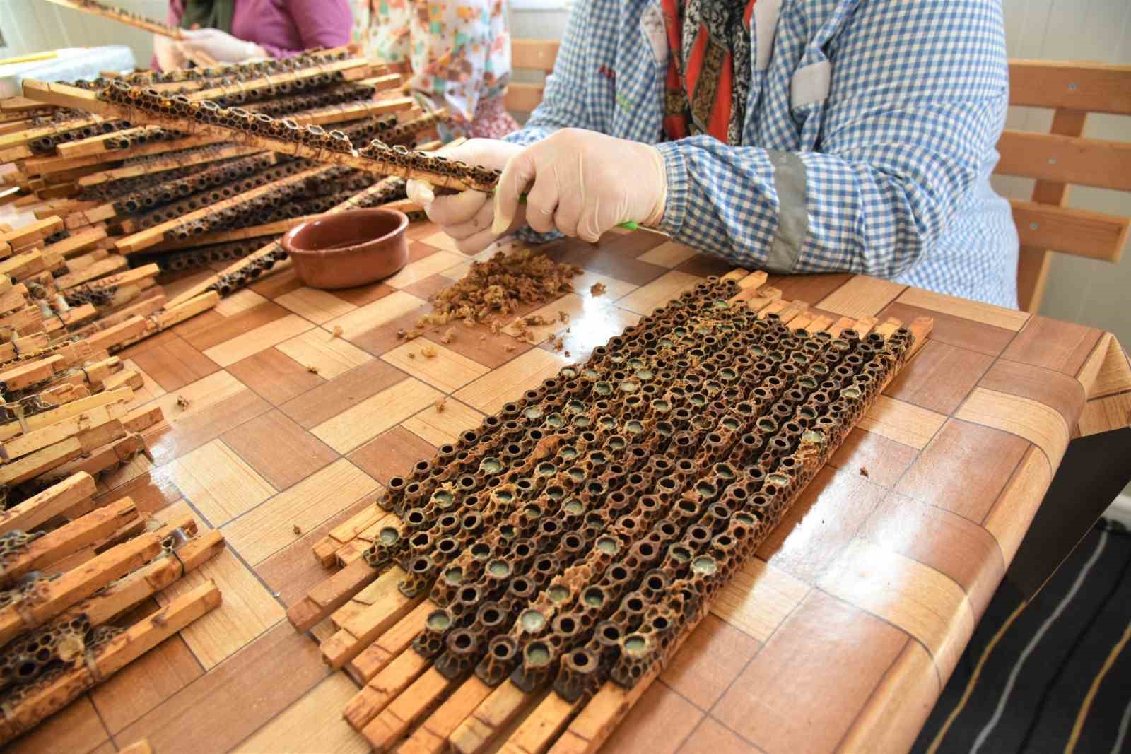 ’Beyaz altın’ın kilosu 15 bin liradan satılıyor