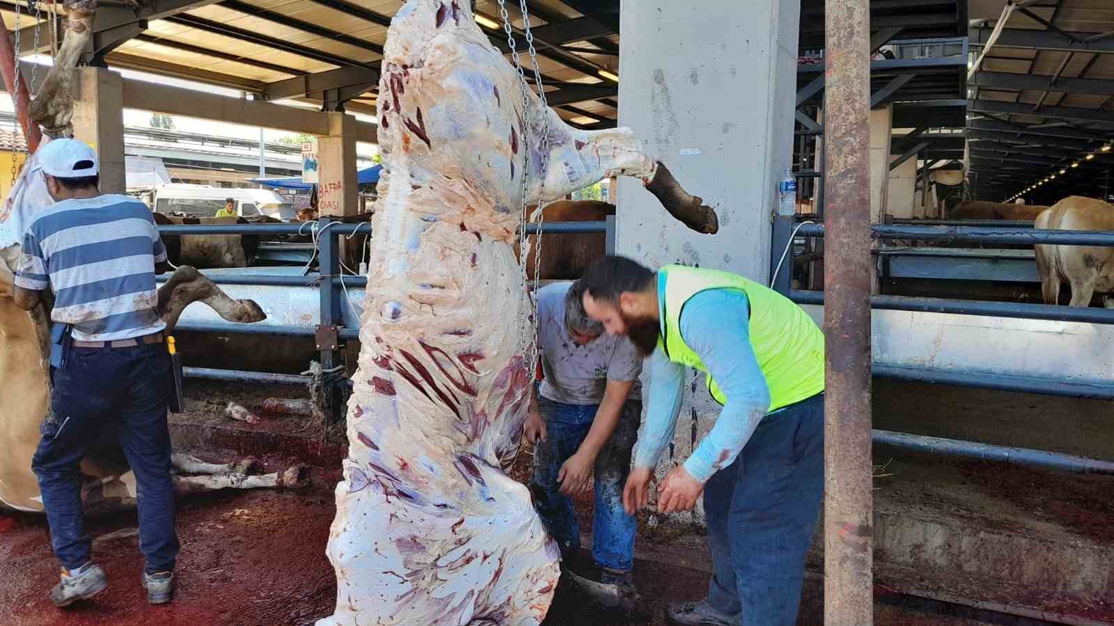 Kurbanlığı ayaklarından tutup çocuk gibi yürüttüler