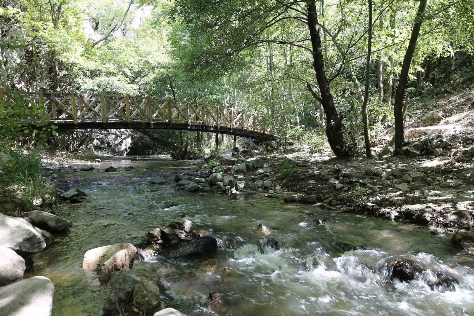 Yılda 40 bin kişi bu kanyonu görmek için yollara düşüyor