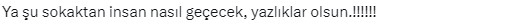 Kuduz karantinası uygulanan Siverek'te sokaklar köpek işgali altında! Belediyeye büyük tepki var