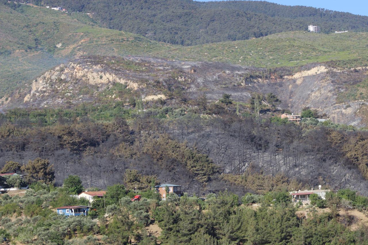 Hatay, Mersin ve Çanakkale'de dün çıkan orman yangınlarına müdahale sürüyor