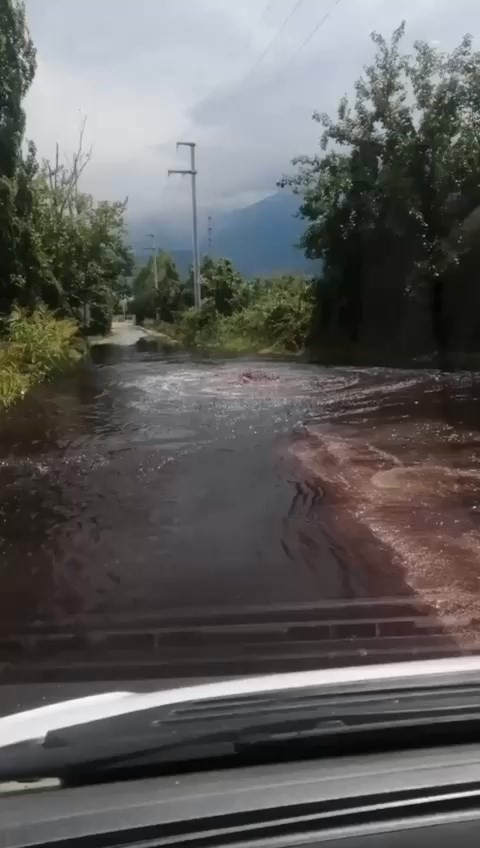 Fabrikaların zehirli atıkları armut bahçelerine aktı