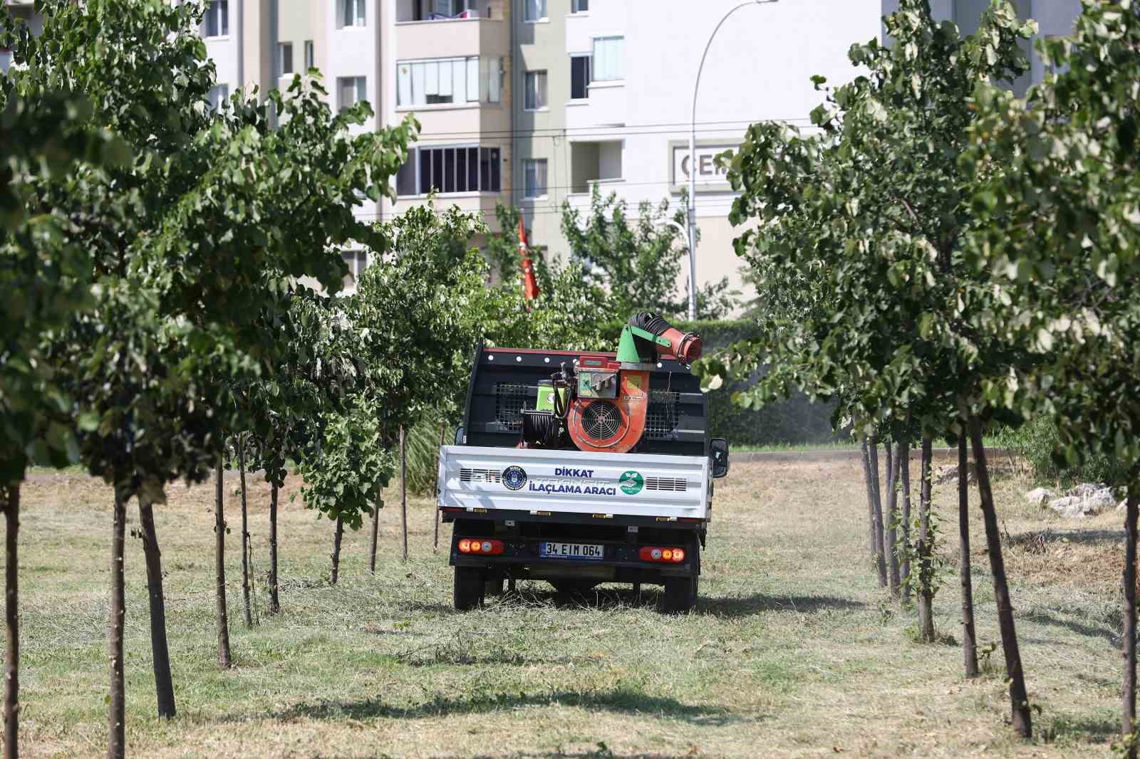 Sinekle mücadele hız kesmiyor