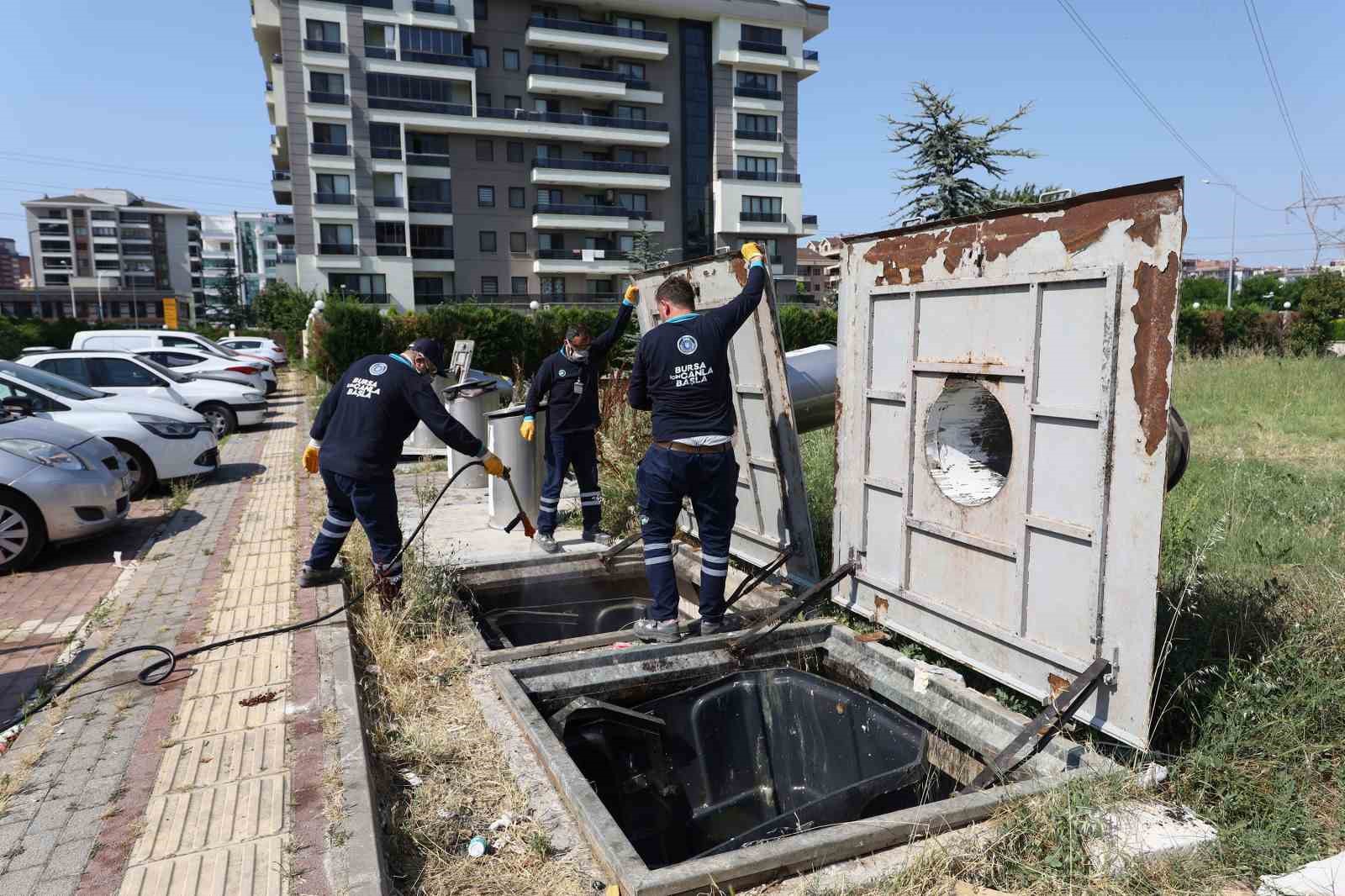 Sinekle mücadele hız kesmiyor