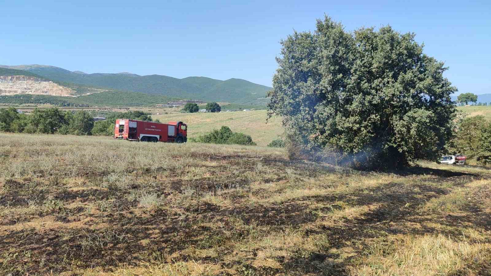 Tarla yangını büyümeden söndürüldü