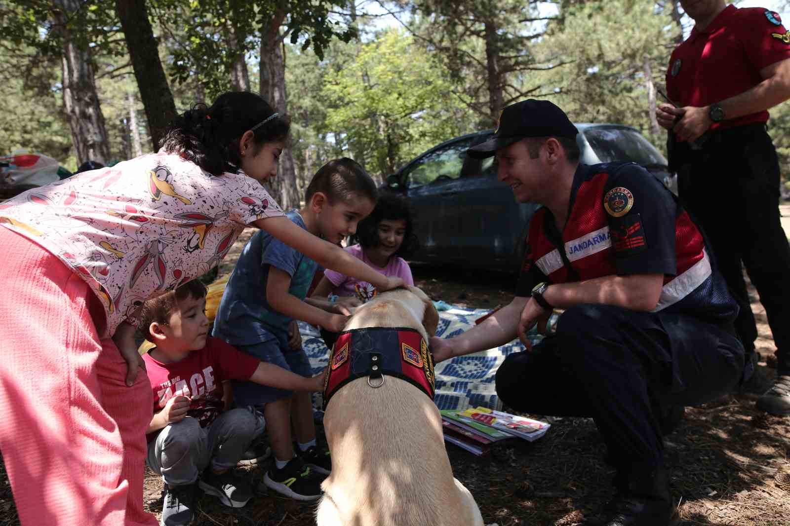 Jandarmadan orman yangınlara karşı dronlu denetim