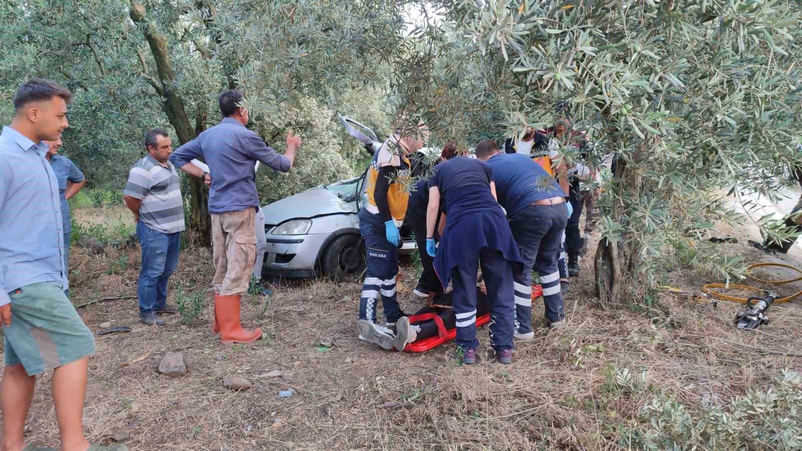 Otomobil zeytinliğe daldı: 1 ölü, 1 yaralı