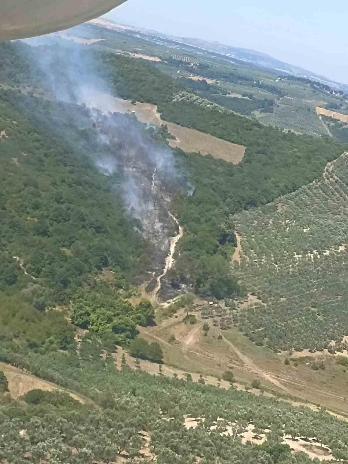 Bursa’da 5 dönümlük makilik alan küle döndü