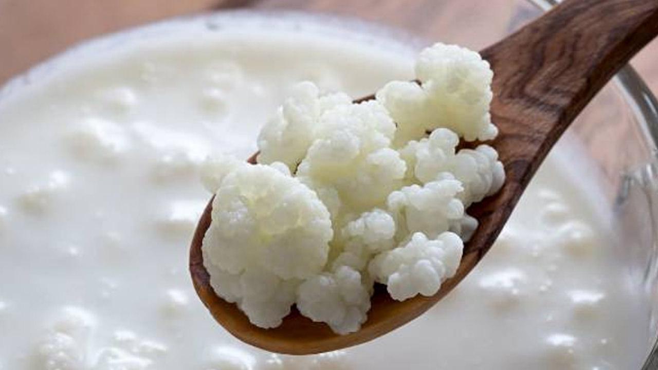 Sabah aç karnına ve yatmadan önce gece kefir içmenin faydaları nedir? Her gün kefir içmek...