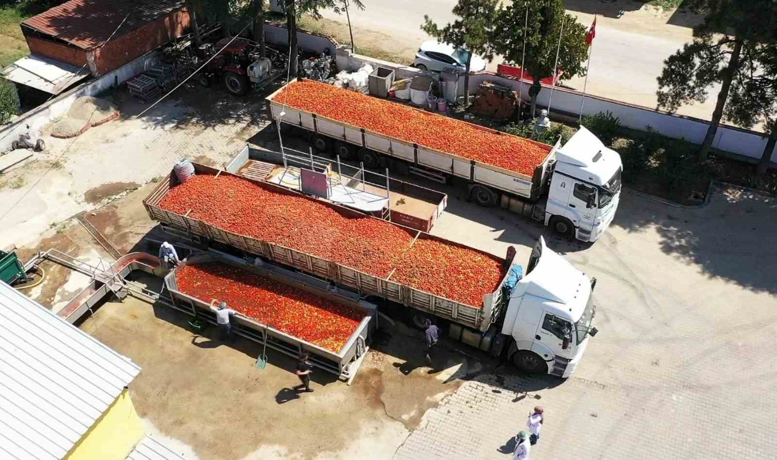 Kadınların ürettiği biber salçası Hollanda’ya ihraç edilecek